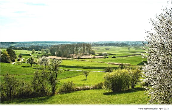 Die "Friolzheimer Seen" im April 2018 (Foto: Franz Rothenhäusler)
