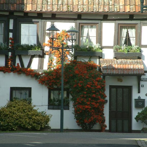 Fachwerk in der Paulinenstraße