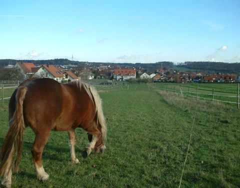 Mensch und Tier fühlen sich in Friolzheim wohl.